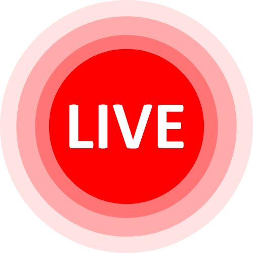 Lovense Controller